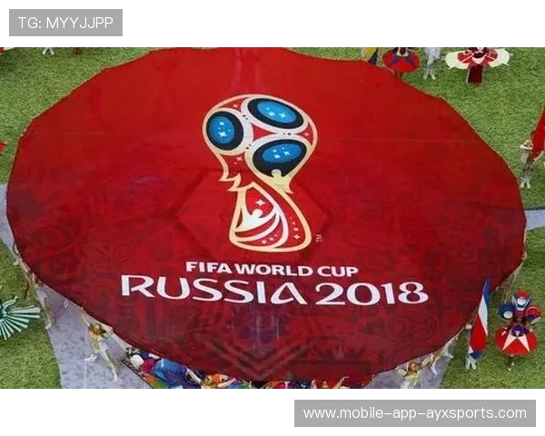 世界杯赛事城市医疗绿色通道获得高度认可